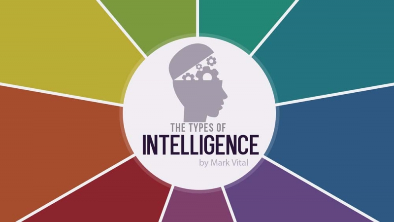 9 Types Of Intelligence | UVA Vietnam Network